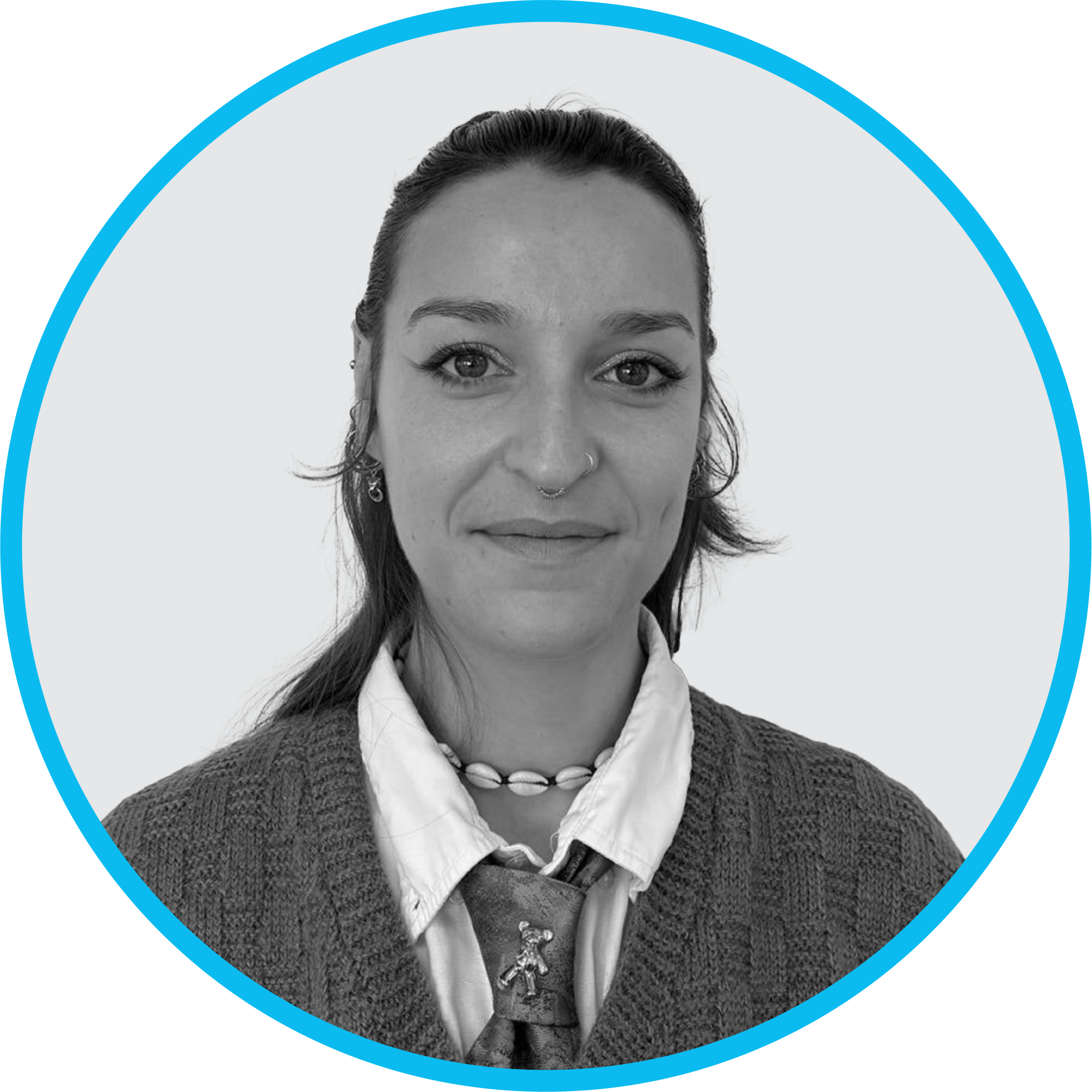 Installateur expert en pose VELUX – Midi-Pyrénées